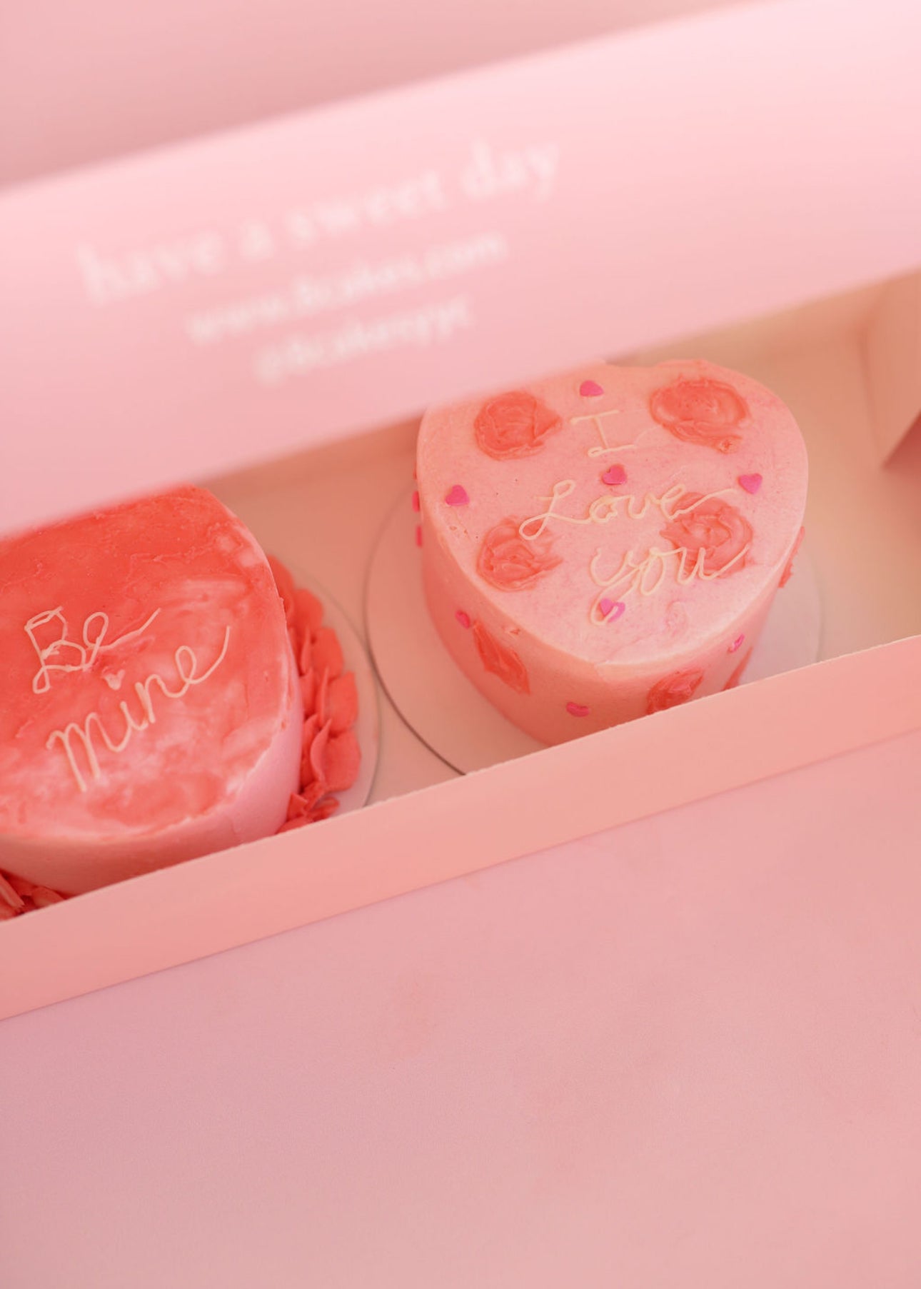 Valentine Paint-A-Cake Experience / TAKE HOME EDITION