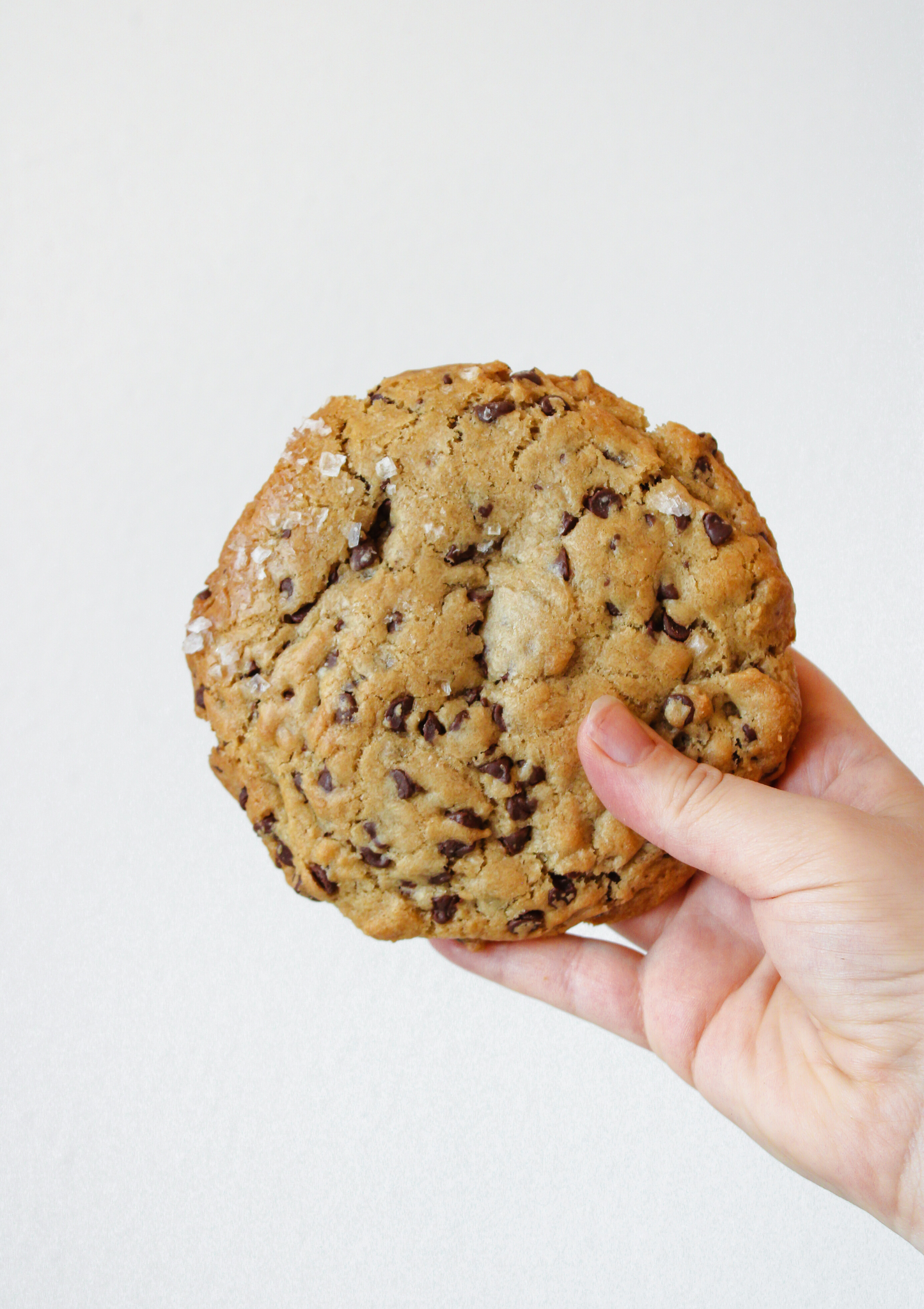 Salted Chocolate Chip Cookie